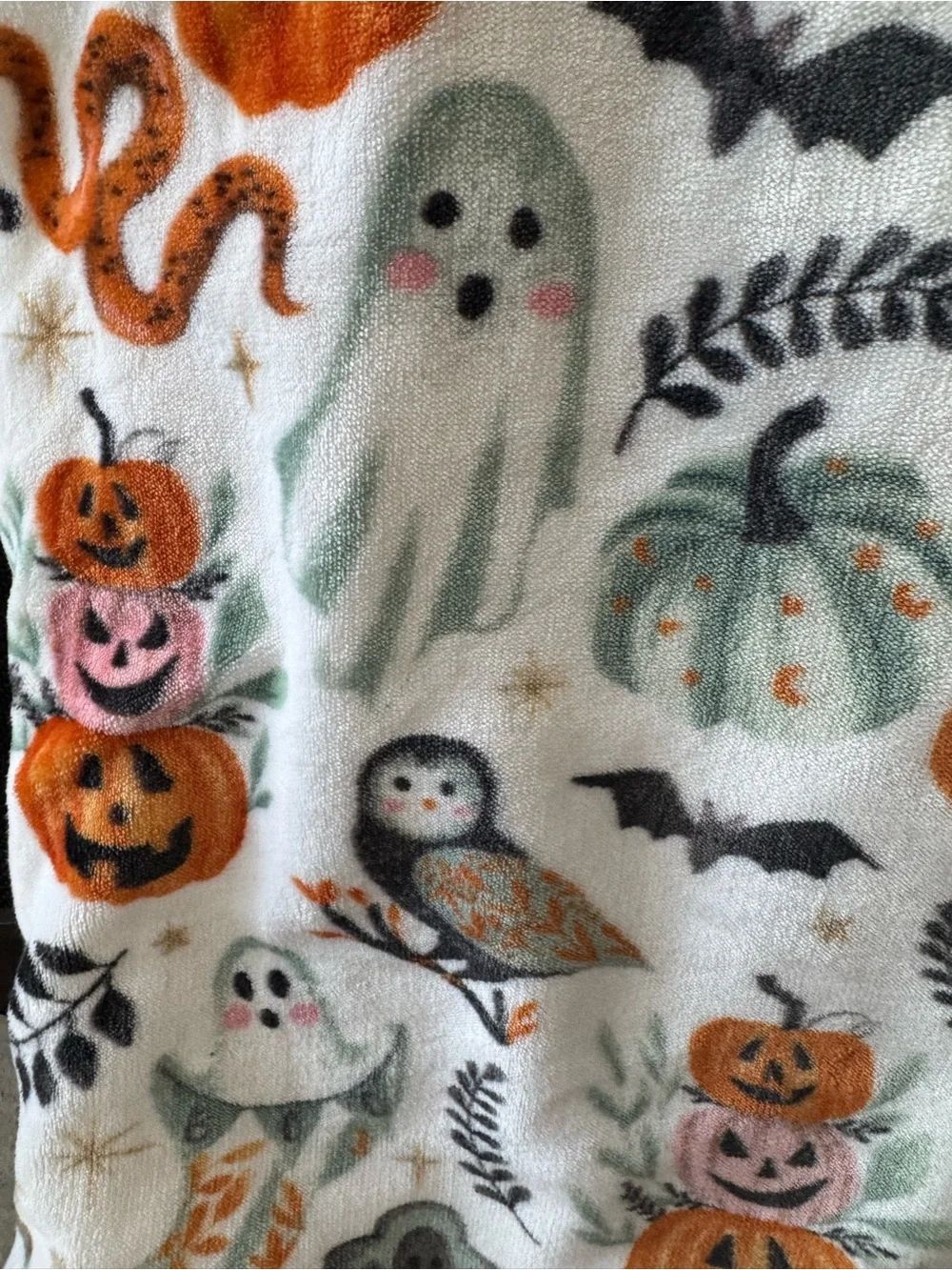 Cupcake & Cashmere Halloween Throw Blanket Pumpkins Cats Snakes Ghosts Moon NWT